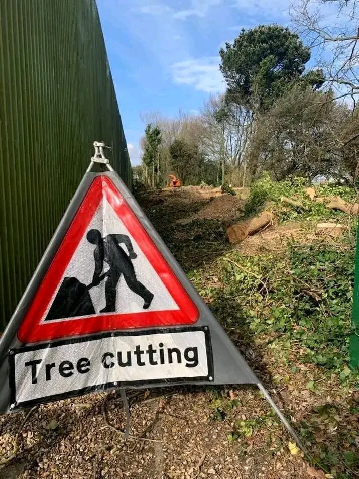 Tree cutting job site Pretoria - professional site management