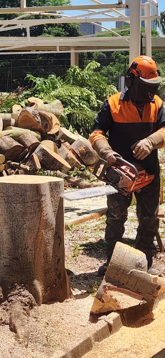Tree cutting Pretoria North - chainsaw operator with Husqvarna